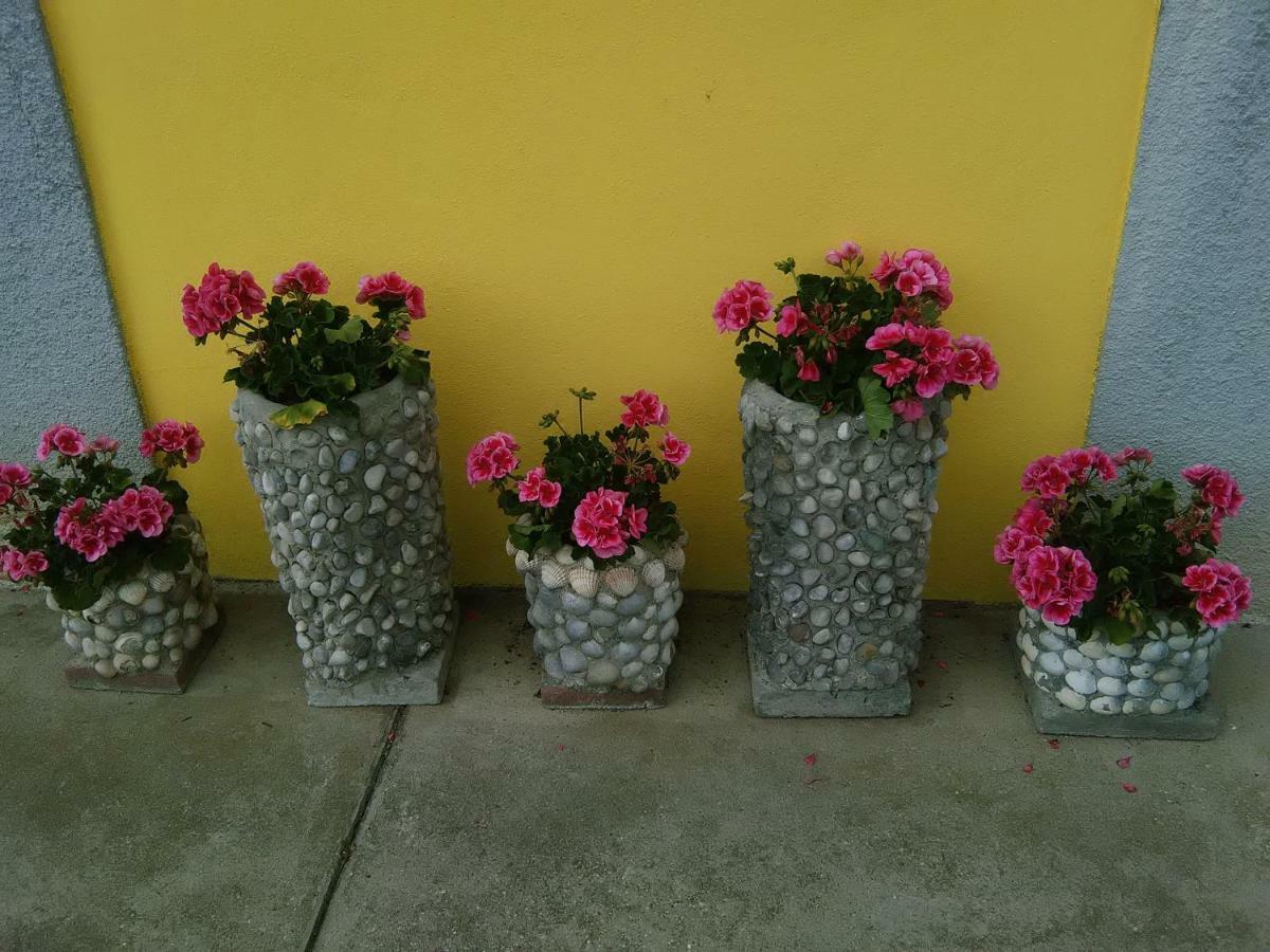 B&B Tisoi Belluno Exterior foto